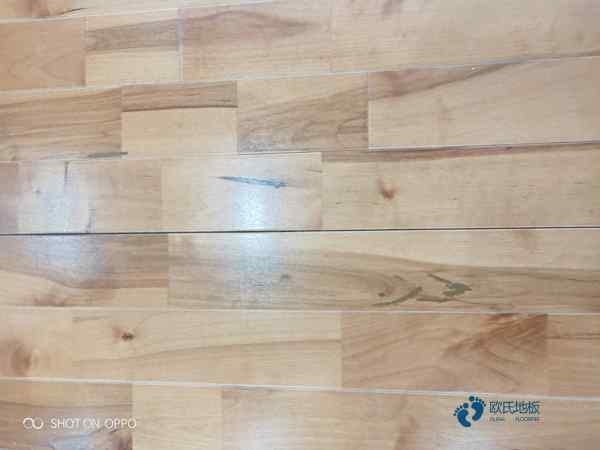 松木体育运动木地板清洁保养