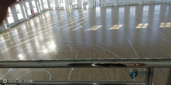 那有体育场地板品牌排行榜