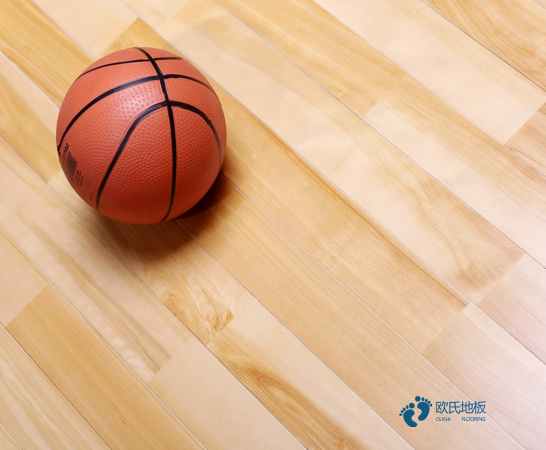 枫桦木体育篮球木地板价格多少