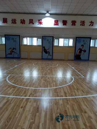 那有运动木地板回弹值