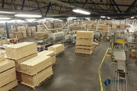 小学篮球场地木地板施工团队