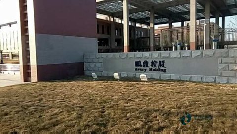 购买运动木地板哪些牌子好