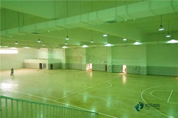 常用运动场馆地板哪个牌子较好2