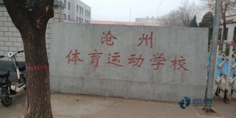 大学篮球体育木地板施工