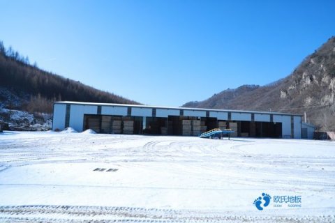 体育场地地板品牌排行榜