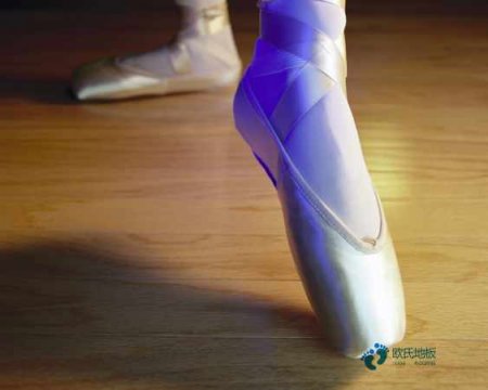 20厚体育场馆木地板行业品牌