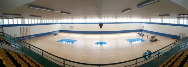 学校运动木地板施工单位3