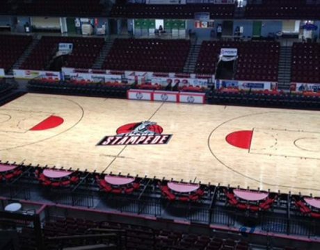 常用运动体育地板十大品牌