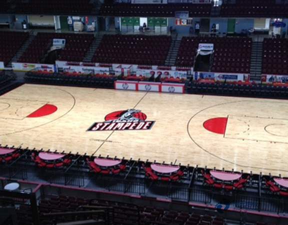 常用运动体育地板十大品牌1